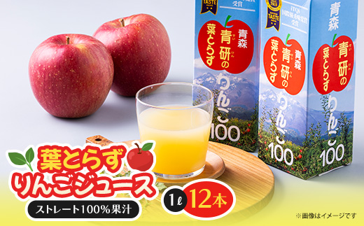 葉とらずりんごジュース　1000g×12本入り
