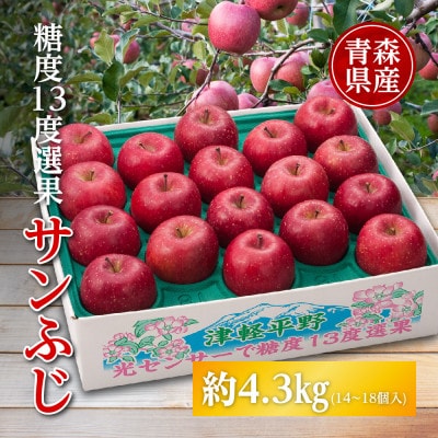 りんご/青森県産　糖度13度選果 サンふじ 約4.3kg【配送不可地域：離島】