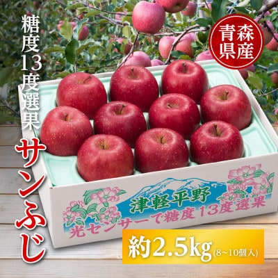 りんご/青森県産　糖度13度選果 サンふじ 約2.5kg【配送不可地域：離島】