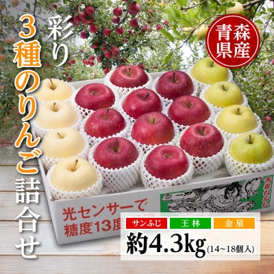 りんご/青森県産　彩り3種のりんご詰合せ 約4.3kg【配送不可地域：離島】