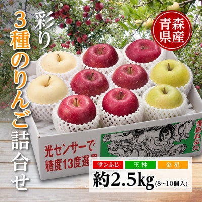 りんご/青森県産　彩り3種のりんご詰合せ 約2.5kg【配送不可地域：離島】