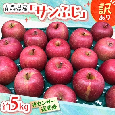 青森県産「サンふじ」家庭用　訳あり 光センサー選果済　約5kg