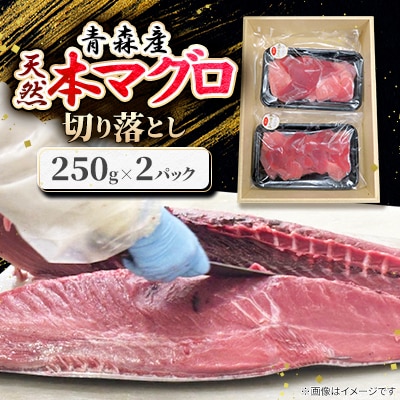 【市場直送!】青森産　天然本マグロ　切り落とし まぐろ(赤身・中トロ・大トロ入り)　250g×2P【配送不可地域：離島】