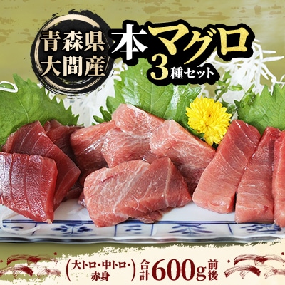 大間産本マグロ 3種セット(大トロ・中トロ・赤身) 合計600g前後【配送不可地域：離島】