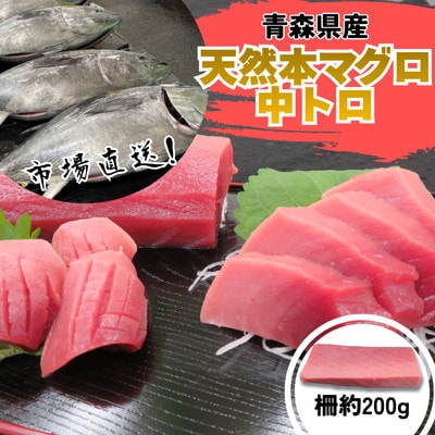 【市場直送!】青森産天然本マグロ 中トロ まぐろ (1柵/約200g)【配送不可地域：離島】