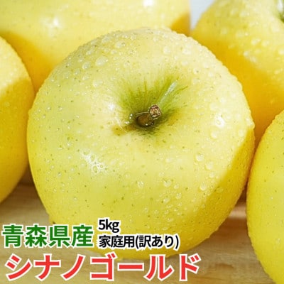 【4月より順次発送】平均糖度13度以上! シナノゴールド 約5kg 訳あり  クール便 青森りんご【配送不可地域：離島・沖縄県】