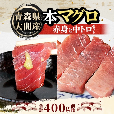 大間産本マグロ 赤身と中トロセット 各200g前後(合計400g前後)【配送不可地域：離島】