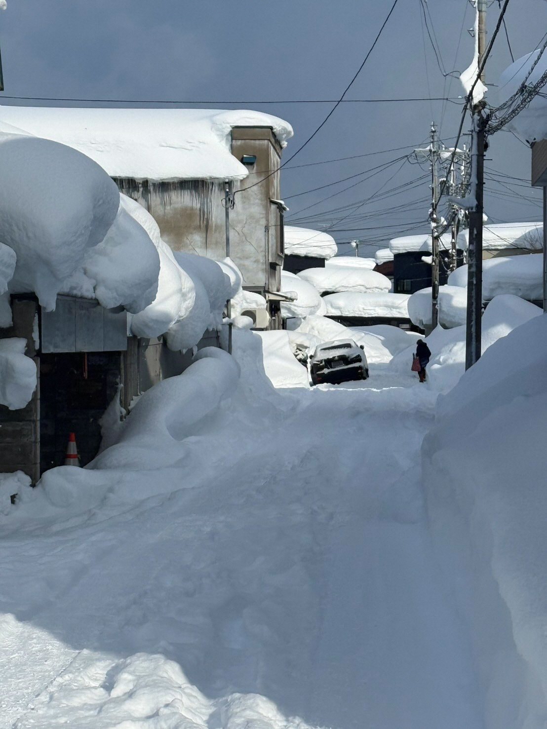 青森市令和8年1月青森地方大雪災害支援【返礼品なし】