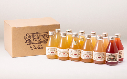 カルネ りんごジュース 12本セット