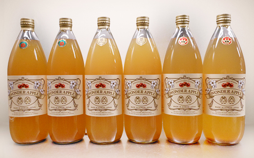 青森市産　カルネ　りんごジュース　3種6本セット