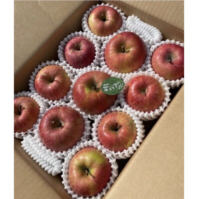 当園人気第1位!!【青森市産・完熟葉とらずふじ】約3kg　8～12玉　(家庭用)