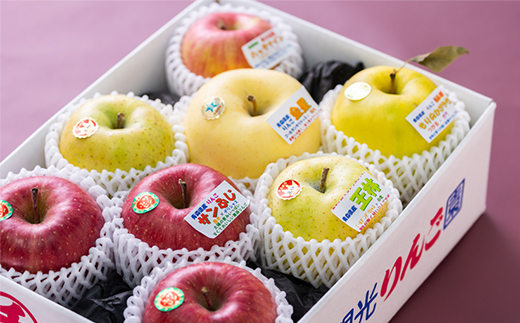 贈答用【2025年11月～2026年3月発送】農家おススメ!旬のりんご約3kg(9玉～11玉入り)【配送不可地域：離島】