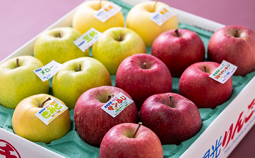 家庭用【2025年11月～2026年3月発送】農家おススメ!旬のりんご約5kg(14玉～20玉入り)【配送不可地域：離島】