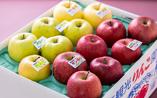 家庭用【2025年11月～2026年3月発送】農家おススメ!旬のりんご約10kg(28～40玉入り)【配送不可地域：離島】