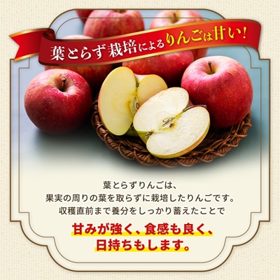 青森市産りんご「葉取らずサンふじ」約5kg(家庭用)【配送不可地域：離島・沖縄県】