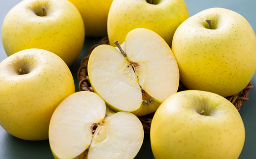 青森市産りんご「シナノゴールド」約5kg(家庭用)【配送不可地域：離島・沖縄県】