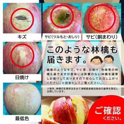 青森県産 サンふじ 3キロ箱 (6～12玉) 津軽産直組合から冷蔵便で直送♪【配送不可地域：離島】