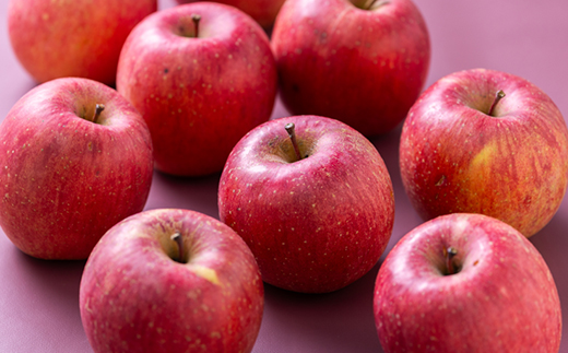 【令和7年1月下旬頃発送】産地直送 青森県産 訳ありサンふじ 5キロ箱 10～23玉 青森県産りんご【配送不可地域：離島・沖縄県】