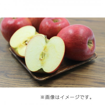 【10月下旬より発送開始】産地直送 青森県産シナノスイート 5キロ箱 10～23玉 青森県産りんご【配送不可地域：離島】