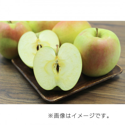 【10月下旬より発送開始】産地直送 青森県産ぐんま名月 5キロ箱 10～23玉 青森県産りんご【配送不可地域：離島】