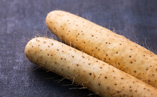 青森県産「ながいも」約3kg(L～2Lサイズ)×4本入り)