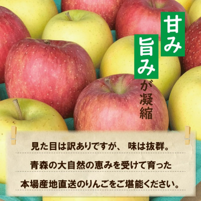 【CAりんご】糖度13度以上保証サンふじ×シナノゴールド約5kg訳あり家庭用【配送不可地域：離島・沖縄県】