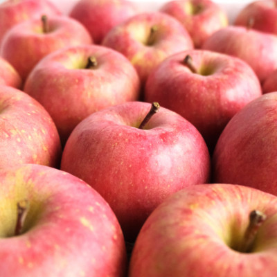 【青森県産りんご】糖度13度以上保証有袋ふじ約5kgおもてなし用【配送不可地域：離島・沖縄県】