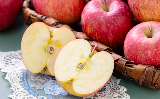 【贈答用にもどうぞ】 青森市産りんご「葉取らずサンふじ」約5kg【配送不可地域：離島・沖縄県】