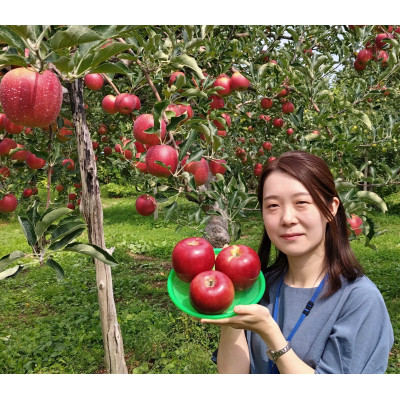シャキシャキ生りんご【配送不可地域：離島・沖縄県】