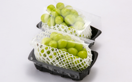 2025年発送【訳あり】青森市産シャインマスカット 2房(1kg以上)【配送不可地域：離島・沖縄県】