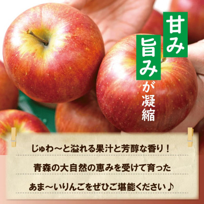【青森市産】糖度13度以上!おもてなし用シナノスイート 約5kg【配送不可地域：離島・沖縄県】