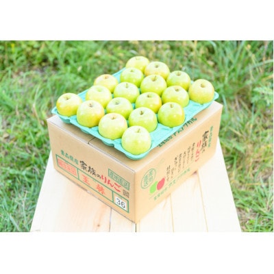 【26年5月より順次発送】平均糖度13度以上! 王林 約5kg おもてなし用 CA貯蔵 クール便【配送不可地域：離島・沖縄県】