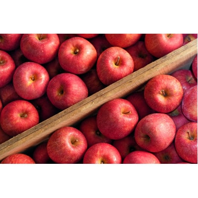 【26年5月出荷予定】平均糖度13度以上! 有袋ふじ 約10kg おもてなし用 CA貯蔵 クール便【配送不可地域：離島・沖縄県】