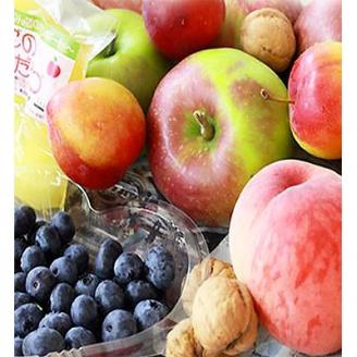 【2025年11月～2026年3月発送】季節のフルーツセット(約5kg)【配送不可地域：離島】