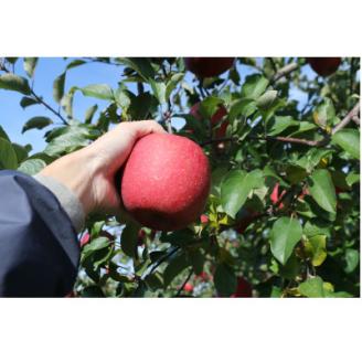 【青森市】温泉付きの古民家泊!癒しのワーケーション体験プラン(3泊4日)