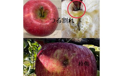 お試し 規格外品 糖度13度以上保証 りんご サンふじ 訳あり 【今年のりんご品評会で最高賞】【配送不可地域：離島・沖縄県】