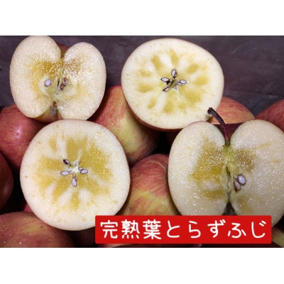 【先行受付】葉とらずふじ・王林　りんご100%ジュース詰め合わせ3kg【配送不可地域：離島・沖縄県】