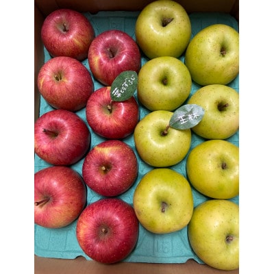 【2025年産】りんご 完熟葉とらずふじ・王林詰め合わせ 5kg (16～24玉)【配送不可地域：離島・沖縄県】