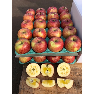 【2025年産】りんご 完熟葉とらずふじ 5kg (家庭用)【配送不可地域：離島・沖縄県】