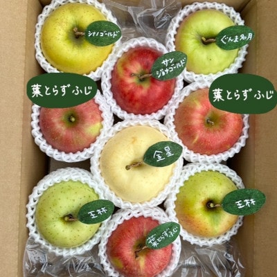 先行受付【青森市産・5品種詰め合わせ】約3kg(家庭用)【配送不可地域：離島・沖縄県】