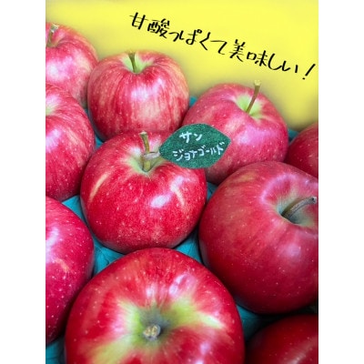 先行受付【青森市産・サンジョナゴールド】約3kg(家庭用)