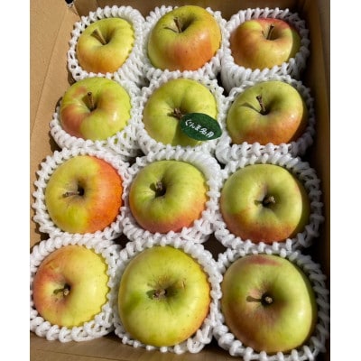 先行受付【青森市産・ぐんま名月】約3kg(家庭用)