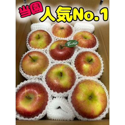 先行受付【青森市産・完熟葉とらずふじ】約3kg(家庭用)