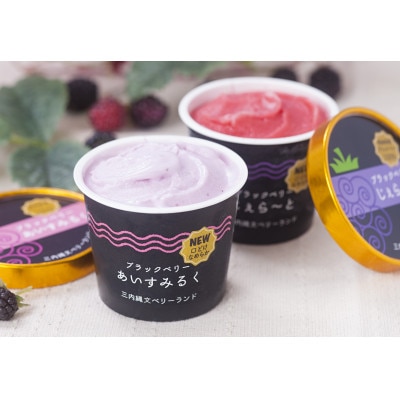縄文ベリーアイス4種詰め合わせ　合計6個セット【配送不可地域：離島】