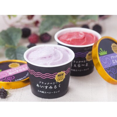 縄文ベリーアイス4種詰め合わせ　合計10個セット【配送不可地域：離島】