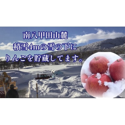 【2026年3月発】希少なりんご!　青森雪貯蔵りんご(サンふじ)　3kg箱【離島・沖縄配送不可】【配送不可地域：離島・沖縄県】