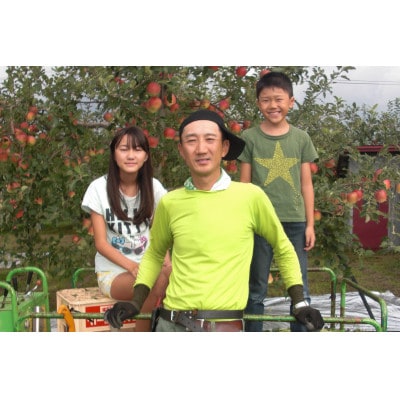 【百年続く青森のりんご農家直送】葉とらずサンふじ 　約3kg　贈答用【12月から発送開始】【配送不可地域：離島】