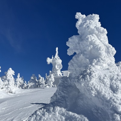 「手ぶらで」八甲田樹氷スノーシューツアー1名様【体験時間:約2時間】