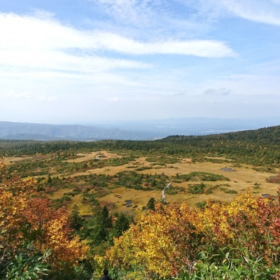 八甲田「毛無パラダイスライン」トレッキング1名様【体験時間:約5時間】