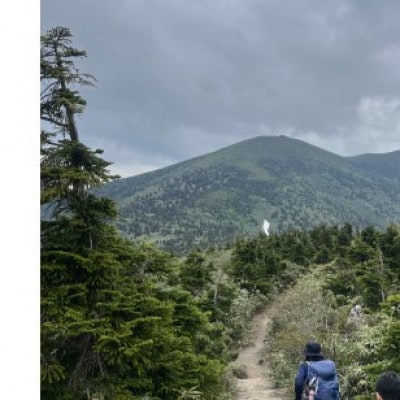 八甲田「ゴードライン」トレッキング1名様【体験時間:約2時間】